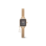 Quadro Mini Crystal Zodiac Evergold