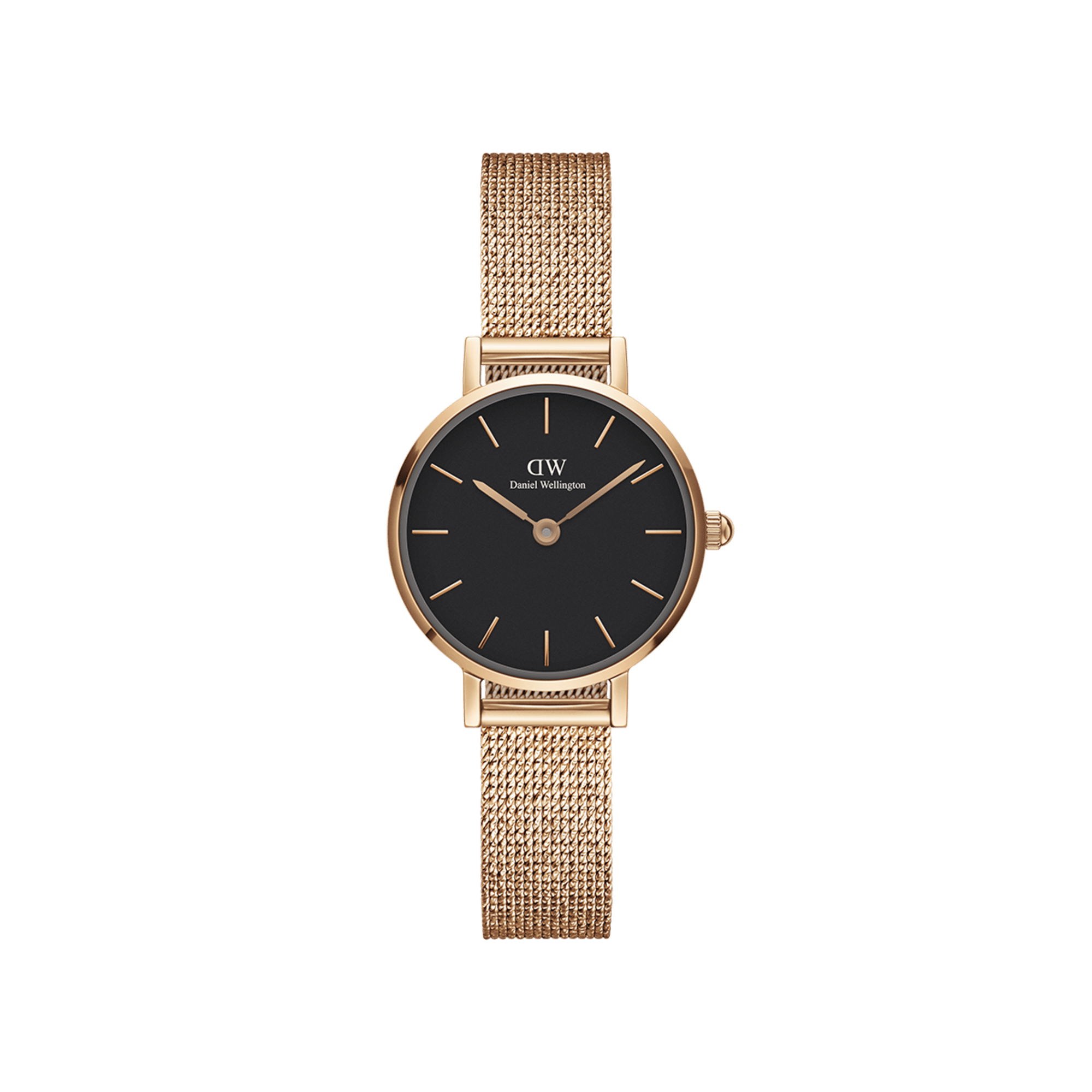 Rose 2024 daniel wellington